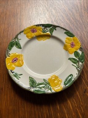 Franciscan Meadow, Rose, 8 inch salad plate